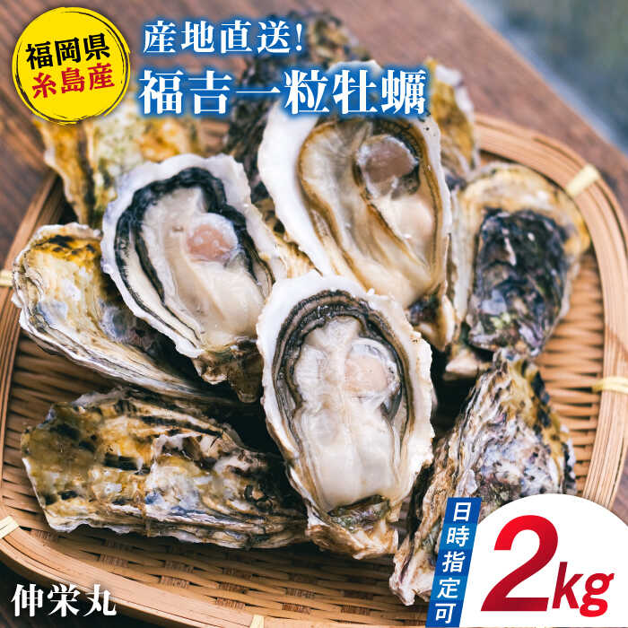 【ふるさと納税】【加熱用】一粒牡蠣 カキ 2kg (牡蠣ナイフ付き) 糸島産 福吉 糸島市/伸栄丸 カキの佐々木 牡蛎 かき [ATH001] 12000円 1万2千円