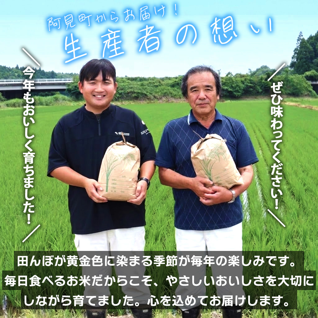 米 定期便 10ヶ月 コシヒカリ 精米 15kg 令和7年産 茨城県産 お米 こめ コメ ごはん 白米 こしひかり 茨城県産米 単一米 単一原料米 安心 安全 送料無料 国産 人気 数量限定 高評価（