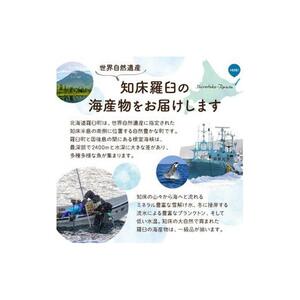 知床羅臼産 貝付ホタテ　（2枚ｘ5パック）｜ほたて