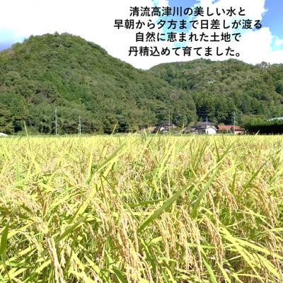 ふるさと納税 吉賀町 令和6年産　吉賀町広石産コシヒカリ　清流高津川のお米　精米10kg |  | 01