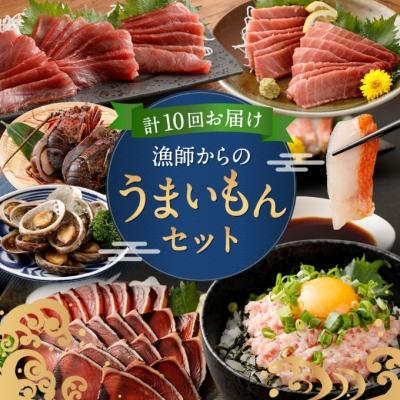 ふるさと納税 室戸市 【魚介定期便10回】 マグロ・ネギトロ・かつおのたたき・魚介類加工品などの海鮮セット定期便 訳あり