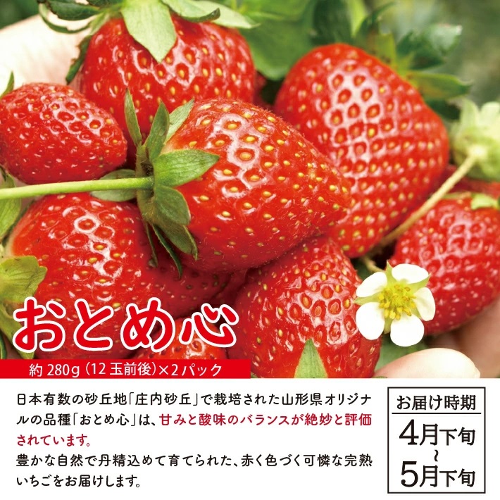 SB0804　【2回定期便】自然の恵み　春・夏フルーツ定期便2026 (いちご、青肉メロン)