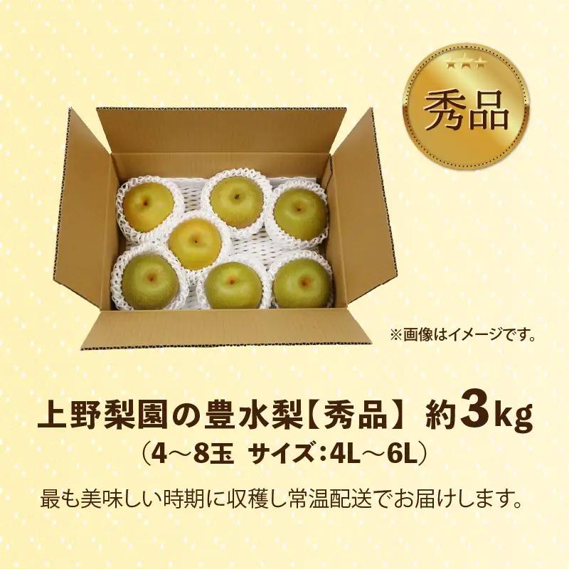 【先行予約】上野梨園の豊水梨  約3kg  4L～6L【秀品】《数量限定》梨園直送！ / 期間限定 果物 フルーツ 農家直送 シャキシャキ もぎたて 旬 お取り寄せ ※2026年9月上旬より順次発送 