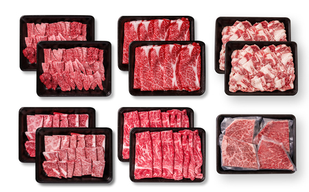 【定期便】宮崎牛堪能6回定期便　4等級以上　国産牛肉＜9-13＞Y