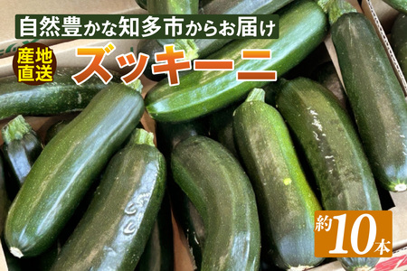 【産地直送】ズッキーニ　約10本