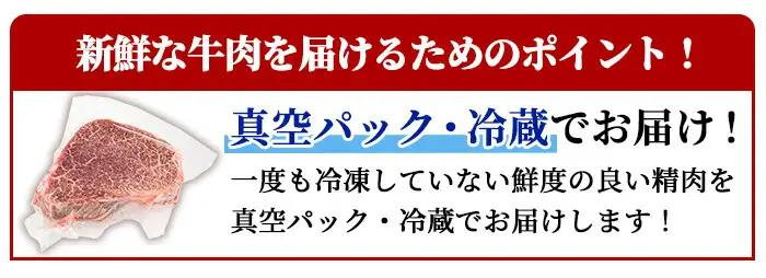 鹿児島県産 A5 黒毛和牛 極厚 シャトーブリアン(計600g・300g×2枚)【KNOT】 D55