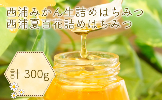 はちみつ 国産 蜂蜜 西浦 みかん 生詰め 3本 計300g セット ハチミツ 夏百花 温州 みかん ローハニー ミカン 蜜柑 柑橘 静岡県 沼津市 伊豆 半島 パンケーキ トースト 朝食 ヨーグルト ホットケーキ