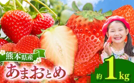 坂本いちご農園 あまおとめ 1㎏ ｜ 果物 くだもの フルーツ いちご 苺 イチゴ あまおとめ 1㎏ 熊本県 玉名市
