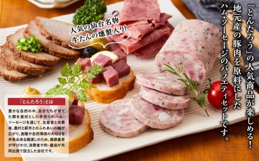 熟成ハム10点セット / 肉 和牛 牛 加工品 加工食品 焼肉 お弁当 ハム セット【ttru031A】