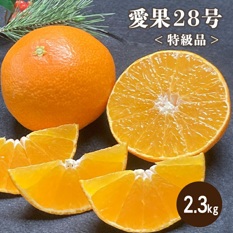 【ふるさと納税】 【12月より発送】 特級品 愛果28号 2.3kg | 12月発送 紅まどんな と同様 みかん 柑橘 愛果28号 あいか 果物 フルーツ 松山市 愛媛県 田村農園 柑橘 くだもの フルーツ おすすめ 高級 人気 お取り寄せ グルメ ギフト 期間限定 数量限定 愛媛県 松山市