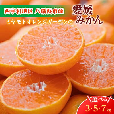 【ふるさと納税】【2025年11月より順次発送】西宇和地区八幡浜産 愛媛みかん( 3kg / 5kg / 7kg )_ みかん ミカン 蜜柑 愛媛みかん 愛媛 えひめ 果物 くだもの フルーツ デザート おいしい 甘い かんきつ 柑橘 柑橘類 国産 愛媛県 八幡浜市【G1044410】