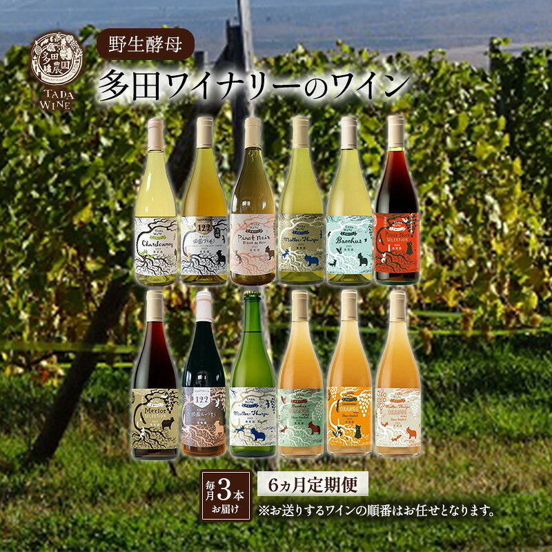 【ふるさと納税】6ヵ月定期便◆野生酵母ワイン 毎月3本お届け(6ヵ月間) 多田ワイナリー 北海道 上富良野町 ワイン 赤ワイン 白ワイン 微発泡ワイン オレンジワイン