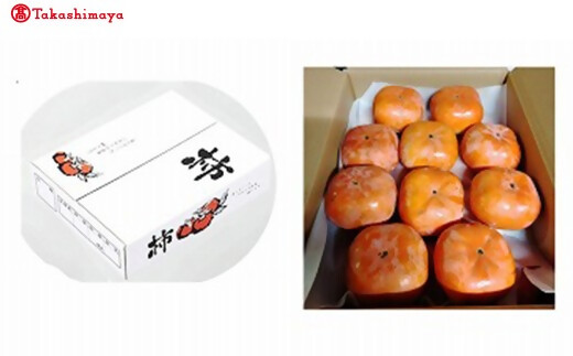 【高島屋選定品】＜中村農園＞三重の安心食材認定　中村農園の次郎柿　大きめサイズ10個（3ｋｇ前後） TSY-05-01