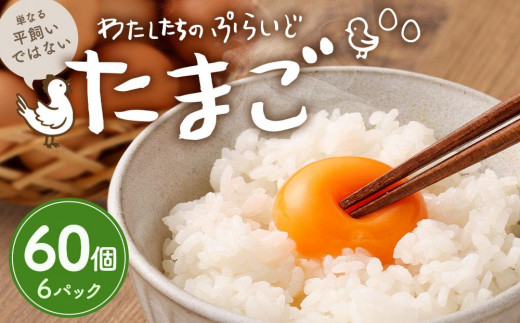 
単なる平飼いではない究極の卵『わたしたちのぷらいどたまご』6パック（60個）セット
