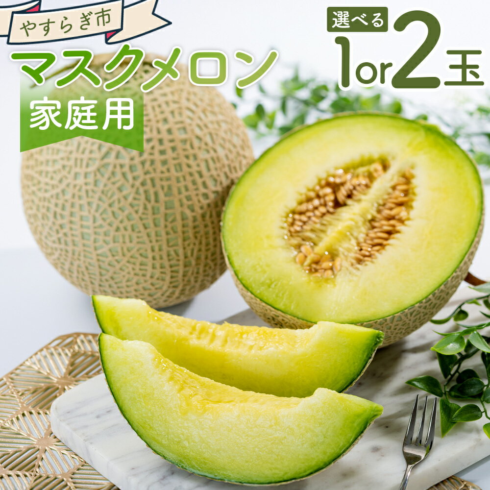 【ふるさと納税】【選べる内容量】マスクメロン （1/2玉） 家庭用 - 選べる 数量 国産 メロン 果物 フルーツ 青果 濃厚 デザート 訳あり 訳アリ ご家庭用 不揃い 傷 やすらぎ市 高知県 香南市【常温】 Ryr-0097