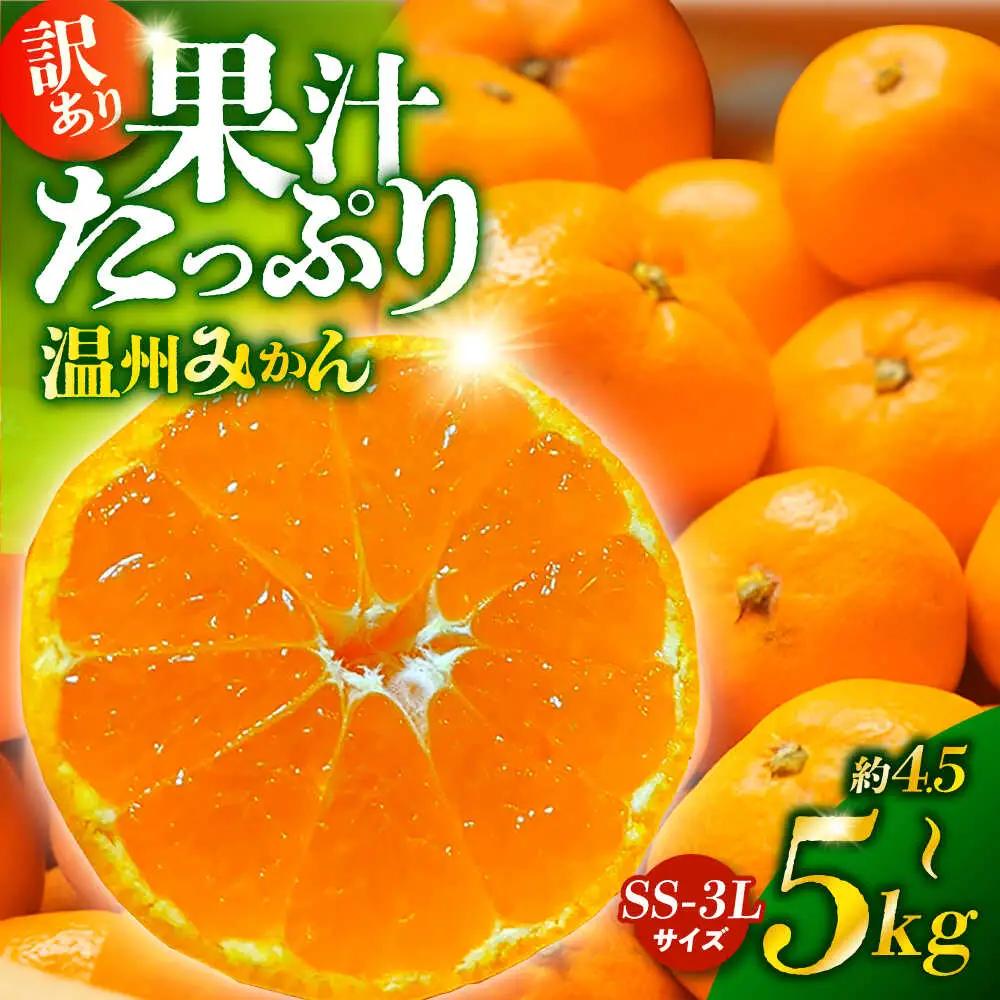 先行予約 訳あり家庭用 温州みかん約4.5kg~5kg熊本ZCN014