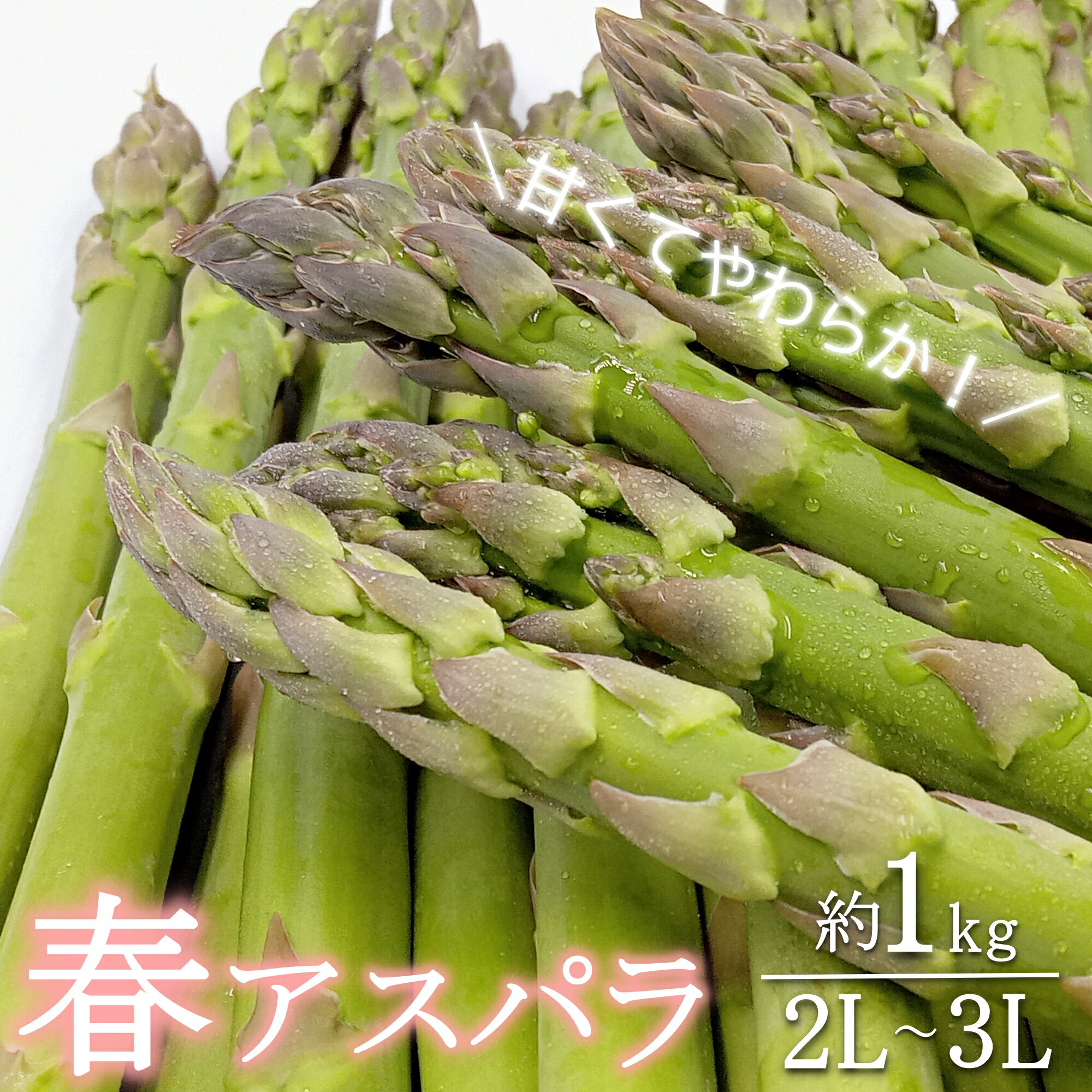 【ふるさと納税】【2026年発送】春どりアスパラ(2L〜3Lサイズ・約1kg）_H172(R8)