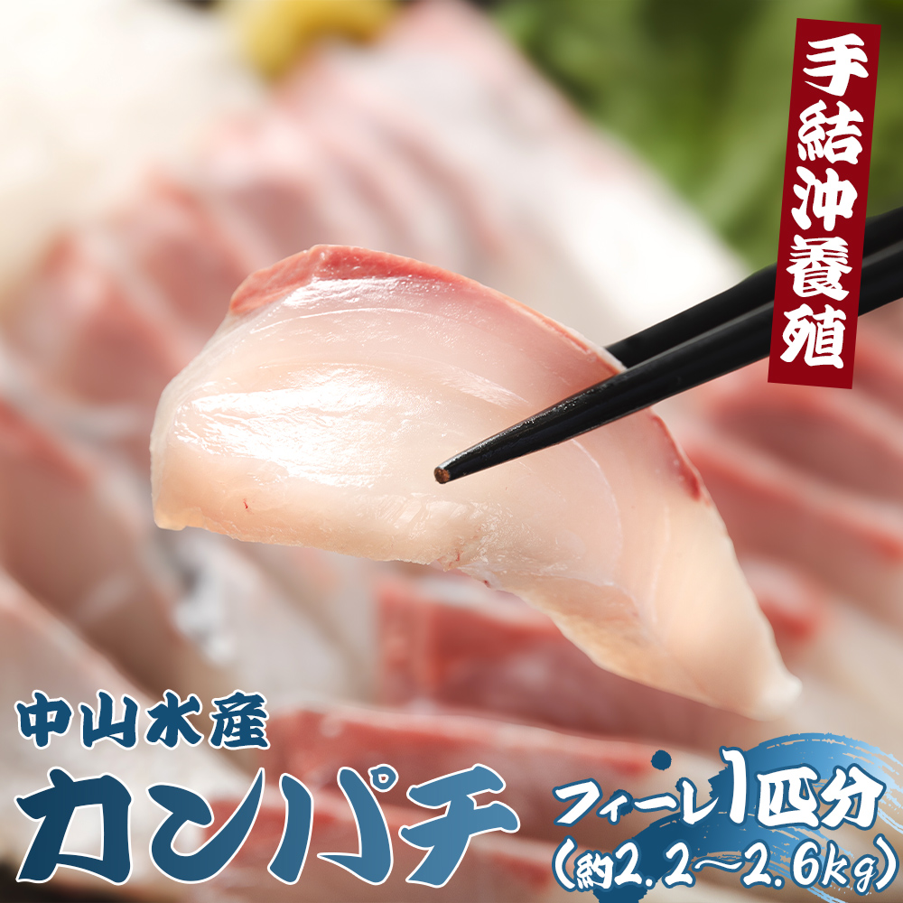 「カンパチ」のフィーレ約2.2kg～2.6Kg 【先行申込】 手結沖養殖 - 期間限定 魚 かんぱち 海鮮 鮮魚 魚介類 切り身 海の幸 ギフト お刺身 煮物 焼き魚 おかず 手結沖養殖 産地直送 送料無料 高知県 香南市 ny-0008