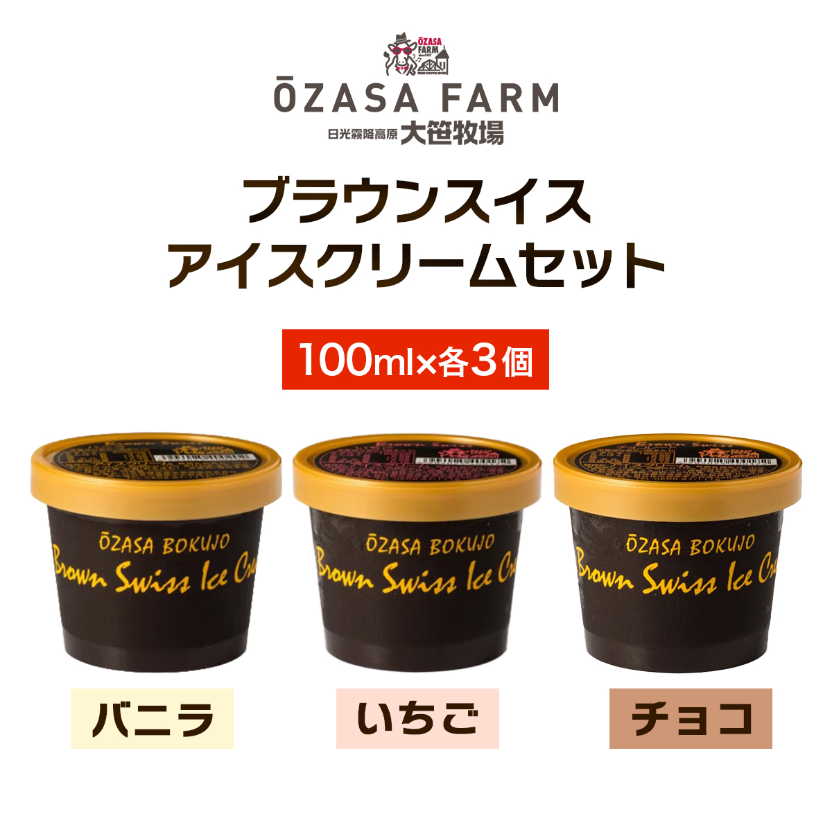 大笹牧場 ブラウンスイス アイスクリーム 3種詰め合わせ (バニラ／いちご／チョコ) ｜アイス バニラ いちご チョコレート ギフト スイーツ デザート 詰め合わせ アソート おやつ 贈答 人気 春 夏 秋 冬 歳暮 中元 母の日 父の日 ギフト プレゼント 人気 日光 霧降高原 栃木 [0844]