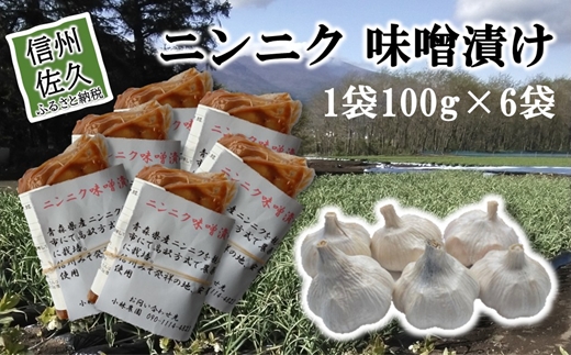 ニンニク味噌漬け600g（100g×6袋）＜沖縄・離島は配送不可＞にんにく 無農薬 ホワイト六片種 安養寺味噌 信州味噌 【 漬物 長野県 信州 佐久市】