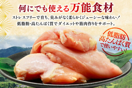 鶏肉 定期便 むね肉 若鶏 鶏むね肉 4kg 6回 総計24kg [ミヤケイフード 宮崎県 美郷町 31bp0015]