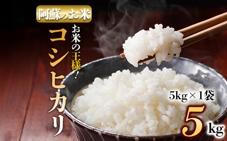 【コシヒカリ・農家指定無】令和6年産　阿蘇の美味しいお米をお届け！5kg×1袋　白米 お米 人気 美味しい 白ご飯 こだわり 農業 甘味 香り ツヤ お米の王様 熊本県 阿蘇市