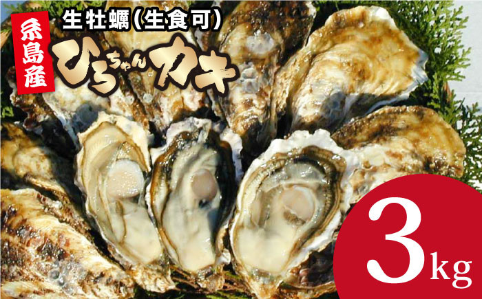 
            【日時指定可】殻付き牡蠣 中サイズ 3kg（36個前後）牡蠣 生カキ 生食用 殻付き カキ 生牡蛎 生食可  ひろちゃんカキ / 糸島市 [AJA003]
          
