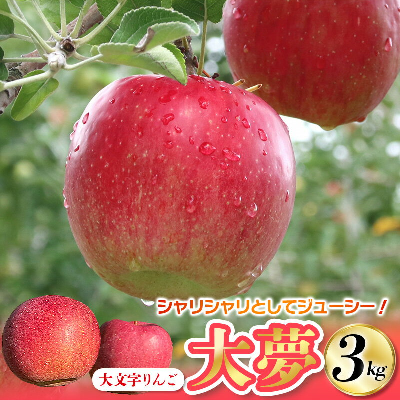 【ふるさと納税】大文字りんご園 大夢（おおゆめ） 約3kg〈超大玉〉約5kg / 蜜 15000円 20000円 国産 幻のりんご 林檎 果物 くだもの フルーツ 甘い 旬 産地直送 先行予約 【2025年11月上旬頃より順次発送】