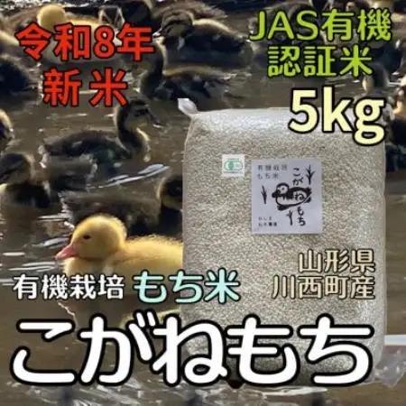 【令和8年産先行予約】山形県川西町産 有機栽培もち米 こがねもち (精米) 5kg【1731862】