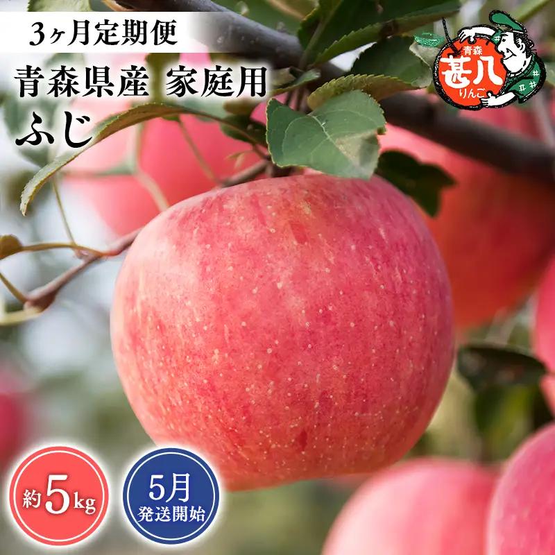 りんご 【2027年5月発送開始】青森県産 ふじ 家庭用 約5kg 3ヶ月定期便 りんご