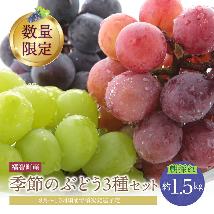 【ふるさと納税】季節のぶどう3種セット 約1.5kg フルーツ ぶどう 葡萄 福岡県 福智町産 ブランド 果実 先行予約 送料無料 《 予約受付 》U20-03