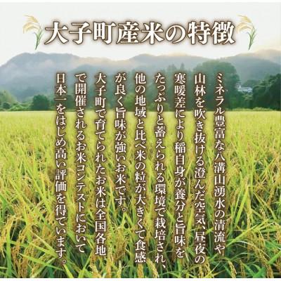 ふるさと納税 大子町 【毎月定期便】大子産米 コシヒカリ (精米) 5kg×6回お届け 茨城県 大子町全6回 |  | 02