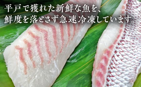 刺身 6人前 約900g 詰め合わせ【百旬館】[KAK021]/ 長崎 平戸 魚介類 魚 刺身 ブロック ヒラス ひらす ブリ ぶり 鯛 タイ たい 急速冷凍 真空 パック