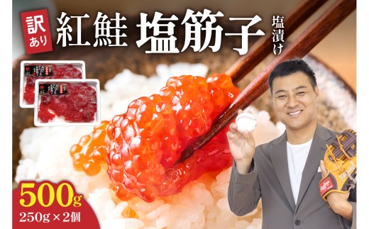 【かずのこの日感謝価格】訳あり 紅鮭 塩 筋子 500g ( 250g × 2個入 ）加藤水産 ひとくちカット すじこ 魚卵 海鮮 おかず おにぎりの具 贈答 ギフト 人気 留萌市 R002-202605-05