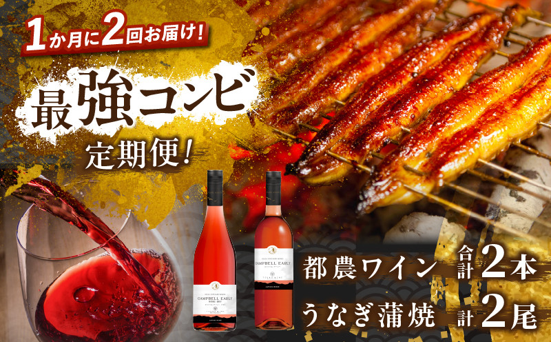 
≪定期便≫＼1か月に2回お届け!!／都農ワイン×うなぎ蒲焼★最強コンビ 酒 飲料 鰻 魚介 国産_T999-003
