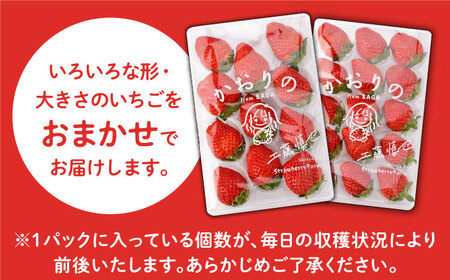 【先行予約 2027年1月～発送】 いちご かおり野 400g（化粧箱入り）いちご