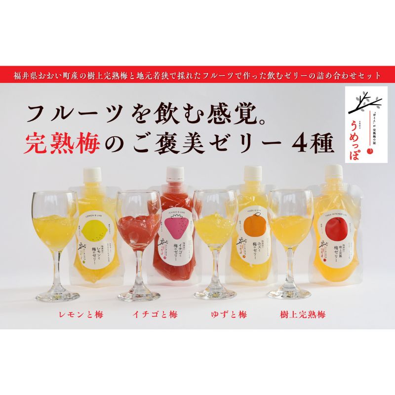 【ふるさと納税】おおい町産希少梅の完熟梅と地域の果実で作ったゼリーセット4種（梅、いちご、柚子、レモン）9本入り