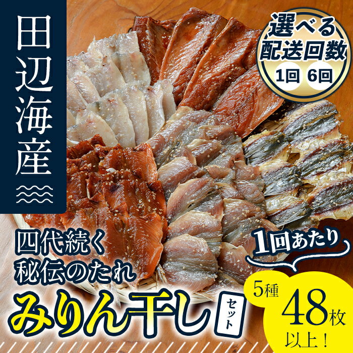 【ふるさと納税】 ＜お届け回数が選べる！＞ 四代続く秘伝のたれ みりん干しセット (合計5種・48枚以上：1回・隔月6回) 定期便 干物 魚 鯵 鯖 みりん かます 醤油 食べ比べ おかず 国産 詰め合わせ セット さばみりん あじみりん おつまみ 朝食 【FT01・FT03】【田辺海産】