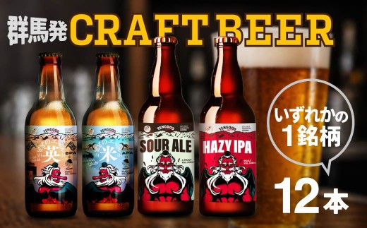 クラフトビール TENGOOD BEER　同一銘柄12本セット |  ビール お酒 クラフトビール 地ビール テングビール ペールエール アメリカンペールエール 瓶ビール オリジナルビール ホップ 柑橘 軽やか 清涼感 プレゼント ギフト 詰め合わせ 家飲み 宅飲み 晩酌 前橋市 群馬県