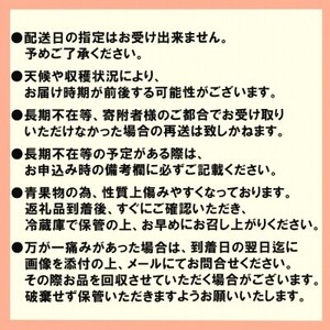 いちご 4パック 博多あまおう デラックス グランデ セット 詰め合わせ おまおう 苺 イチゴ 果物 くだもの フルーツ 旬のフルーツ 季節のフルーツ 旬の果物 季節の果物 福岡 福岡県 小郡市 お申