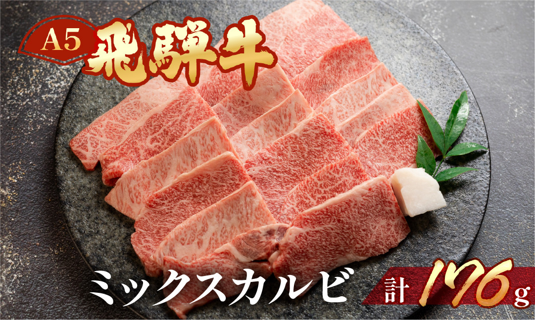 
飛騨牛 A5 ミックスカルビ 176g（約2人前）【冷凍 真空】牛肉 カルビ 焼肉 牛 天狗
