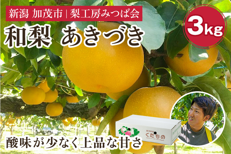 
                  【2026年先行予約】新潟県産 和梨 あきづき 3kg（5～10玉）《9月中旬以降発送》 果物 フルーツギフト 秋の味覚 加茂市 梨工房みつば会
                