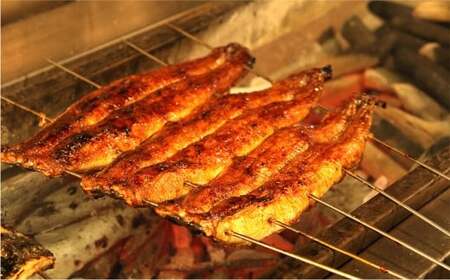 木曽三川 ウナギの蒲焼 150g ×1尾 ／ うなぎ 鰻 ウナギ 国産 国産鰻 蒲焼 蒲焼き 鰻の蒲焼き 土用の丑の日 丑の日 良質 老舗 冷凍 三重県 桑名市