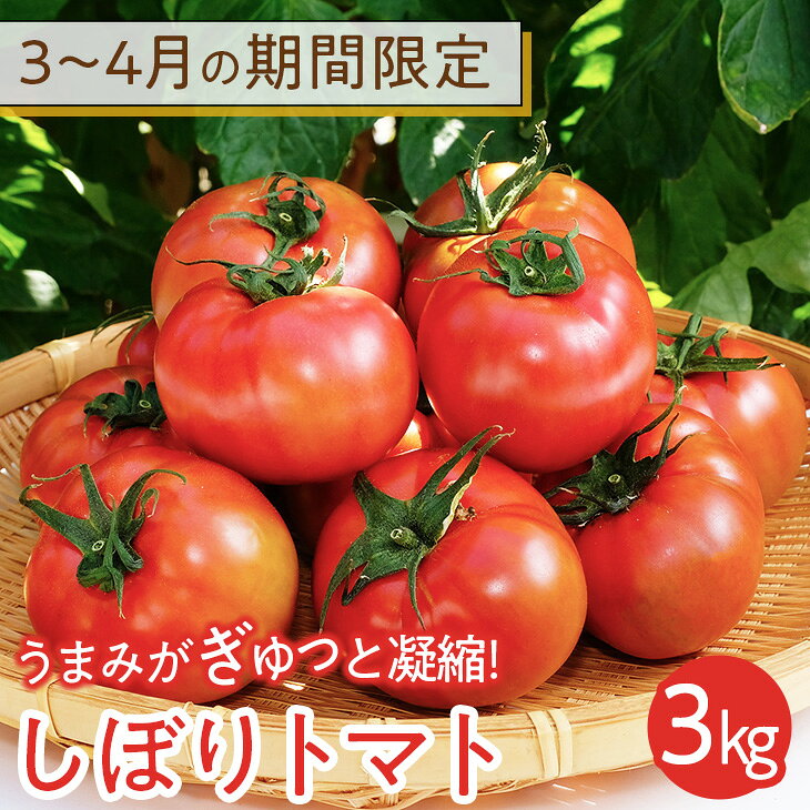 【ふるさと納税】3〜4月の期間限定　うまみがぎゅっと凝縮！しぼりトマト 3kg 《2027年3月上旬-4月末頃出荷予定》