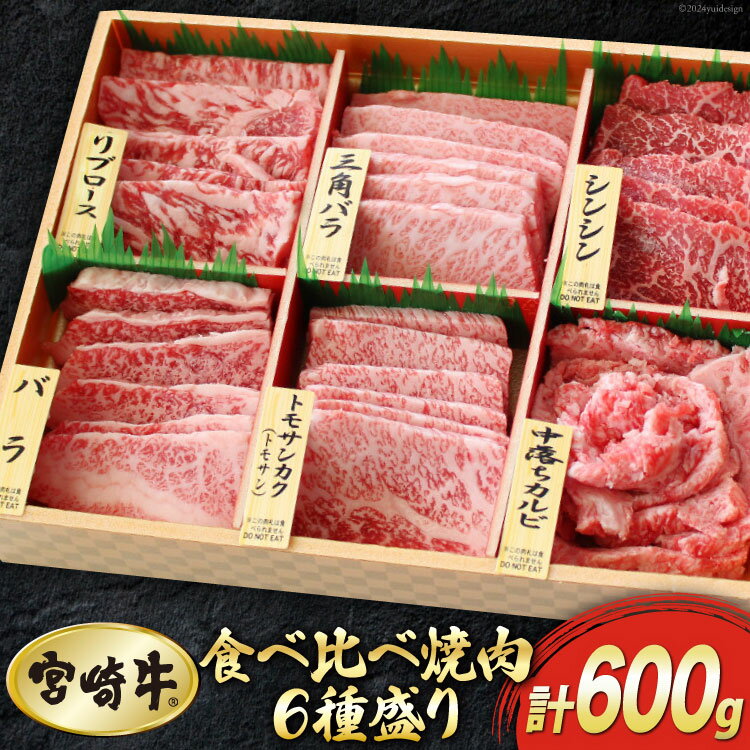 【ふるさと納税】【宮崎牛】 特選 食べ比べ 焼肉 6種盛り 600g [マルミヤストア 宮崎県 美郷町 31ag0080] 肉 牛 牛肉 ロース カルビ 赤身 霜降り 冷凍