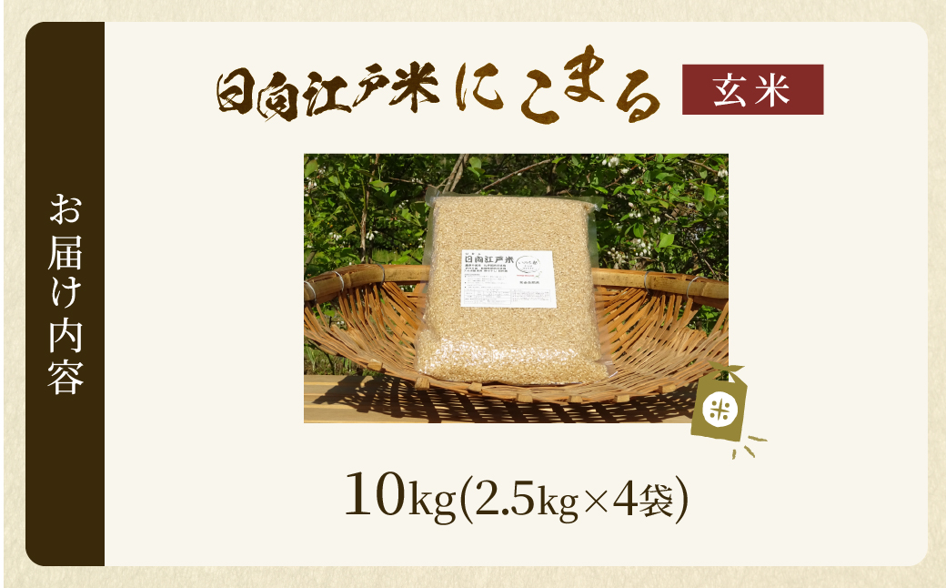 天日干しが引き出す お米の旨味 日向江戸米（にこまる）【玄米】計10kg 国産米 ブランド米 農薬不使用 化学肥料不使用 無農薬 ごはん ご飯 おにぎり お弁当 冷めても美味しい もっちり食感 和食 主食 人気 おすすめ 宮崎県 綾町 送料無料_A0038-030