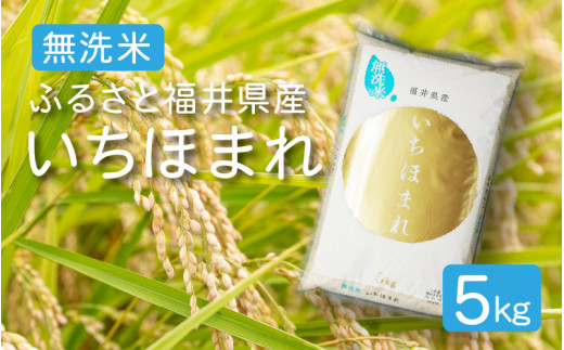 [051-a004] 令和６年度産 無洗米 ふるさと福井県産 いちほまれ 精米 5kg （無地のし対応可）【米 お取り寄せ ギフト 贈り物 お中元 プレゼント】