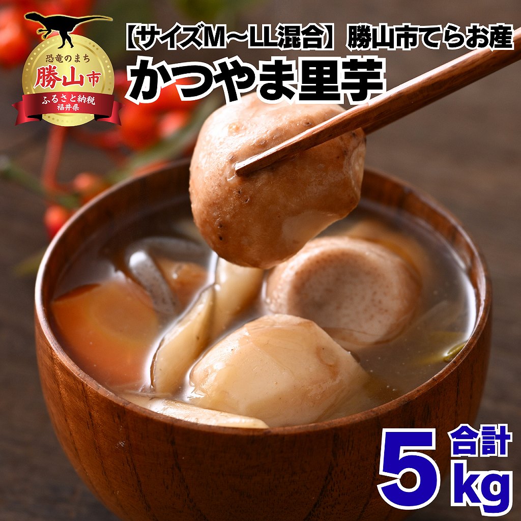 【ふるさと納税】【先行予約】勝山市てらお産 かつやま里芋 5kg×1箱（サイズM〜LL混合） / 里芋 さといも いも 芋 煮物 おすすめ返礼品 福井県産 勝山市産 和食 野菜 根菜 料理 北陸 福井県 勝山市 ※2025年11月上旬より順次発送