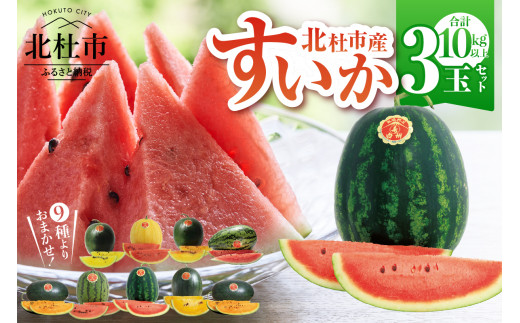 【2026年先行予約】北杜市白州産すいか「すいかばか！」のこだわりの特選すいか セレブシリーズと名水甲羅の中から2玉・戦水甘シリーズ1玉 豪華3玉セット　特選 フルーツ 数量限定 期間限定 スイカ セレブシリーズ 名水甲羅 戦水甘 産地直送 冷蔵発送
