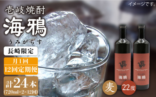 【全12回 定期便 】麦焼酎 海鴉 25度 720ml 2本入りセット 《 壱岐市 》【天下御免】[JDB112] 180000 180000円